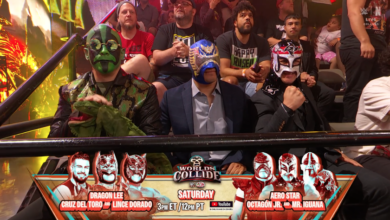 Octagón Jr., Aero Star, Mr. Iguana & El Hijo del Vikingo Appear On WWE NXT