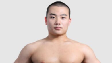 AJPW Announces Taishin Nagao Is Undergoing Treatment At Hospital After Being Hit By Bus