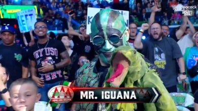 Triple H Talks Popularity Of AAA’s Mr. Iguana: “I Never Knew Iguanas Were So Much Fun…I Think Kids Are Gonna Want Iguanas Everywhere”