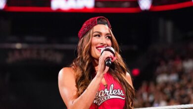 Nikki Bella Would Like To Wrestle Taylor Swift And Pit Bella Army vs. Swifties, ‘I’d Have To Be In My Bad Girl Era’