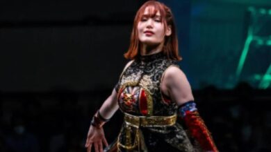 Marigold’s Natsumi Showzuki To Undergo Shoulder Surgery, Return Timetable Is End Of 2025 Or Early 2026