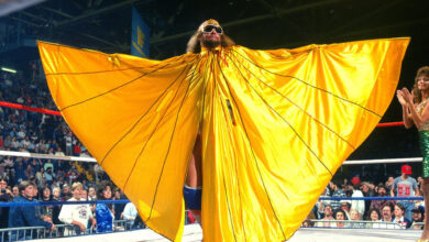 randy savage