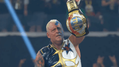Dustin Rhodes Wins AEW TNT Title At AEW All In