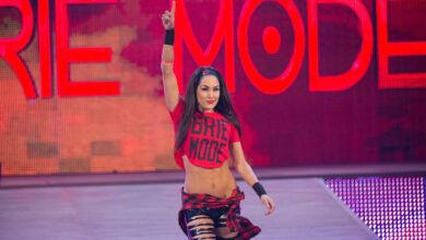 Brie Bella Says She Would Have Loved To Be Part Of WWE Evolution, ‘Fingers Crossed, I Would Love To Come One Day’