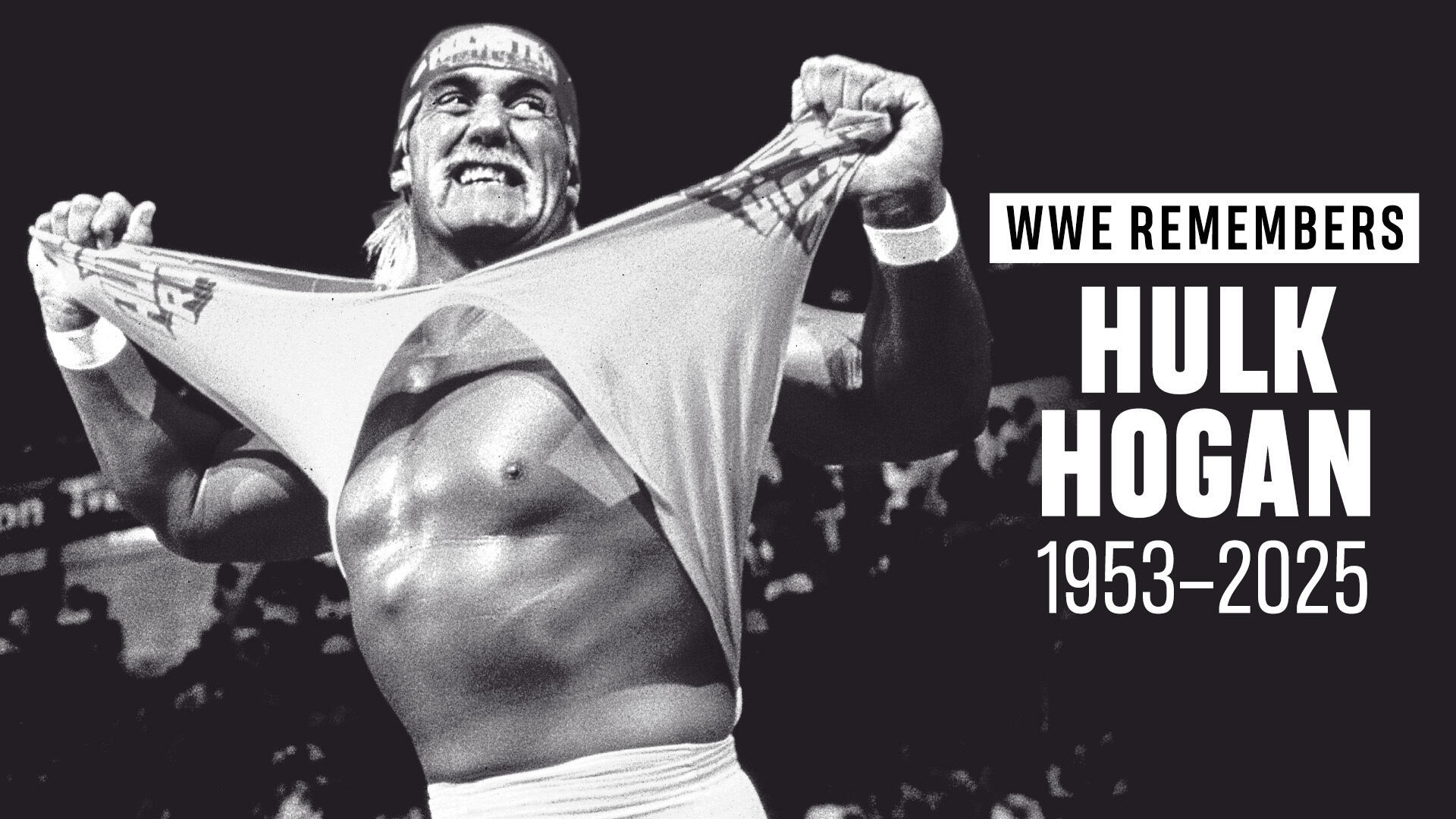 hulk hogan tribute