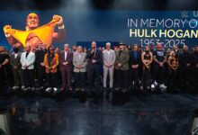 hulk hogan wwe smackdown