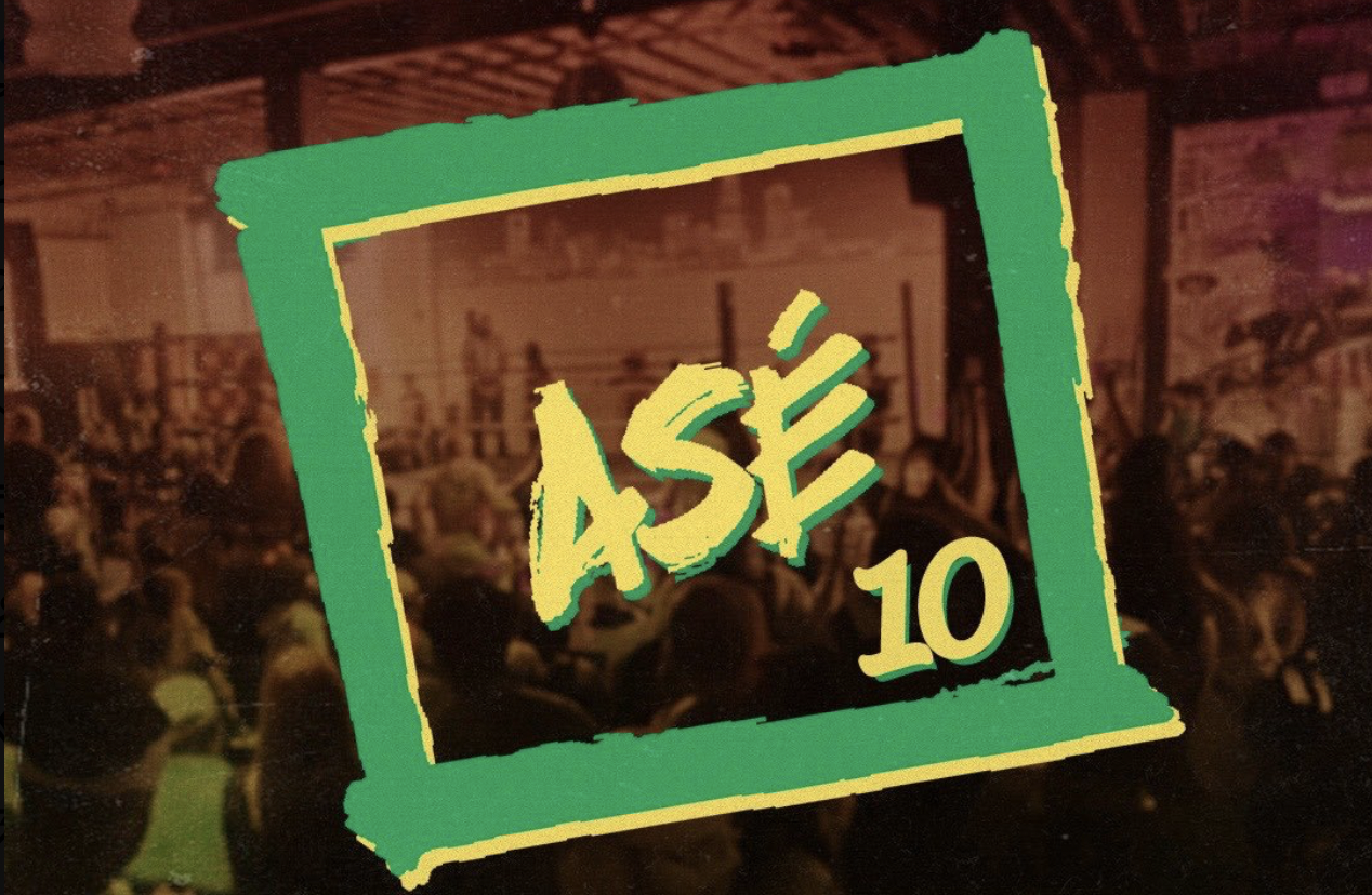ase wrestling 10