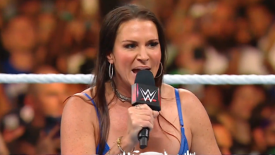 Stephanie McMahon WWE SummerSlam 2025 Attendance