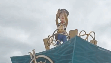 Toy Story’s Woody Yeets During Parade