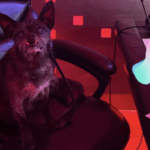 Larry Is Back In Gorilla Position For WWE Raw