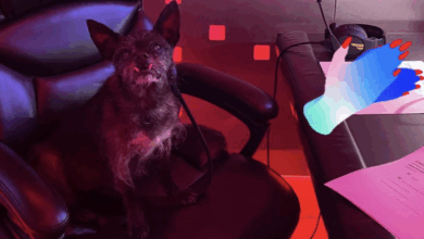 Larry Is Back In Gorilla Position For WWE Raw