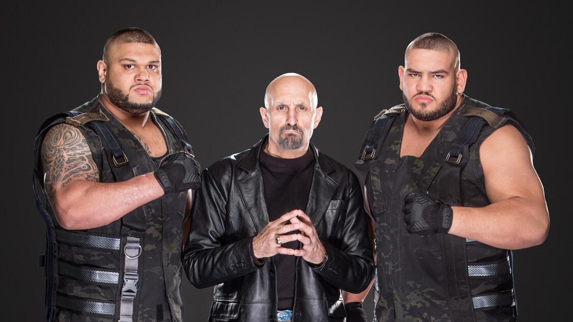 authors of pain Paul Ellering