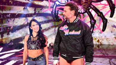 cm punk aj lee