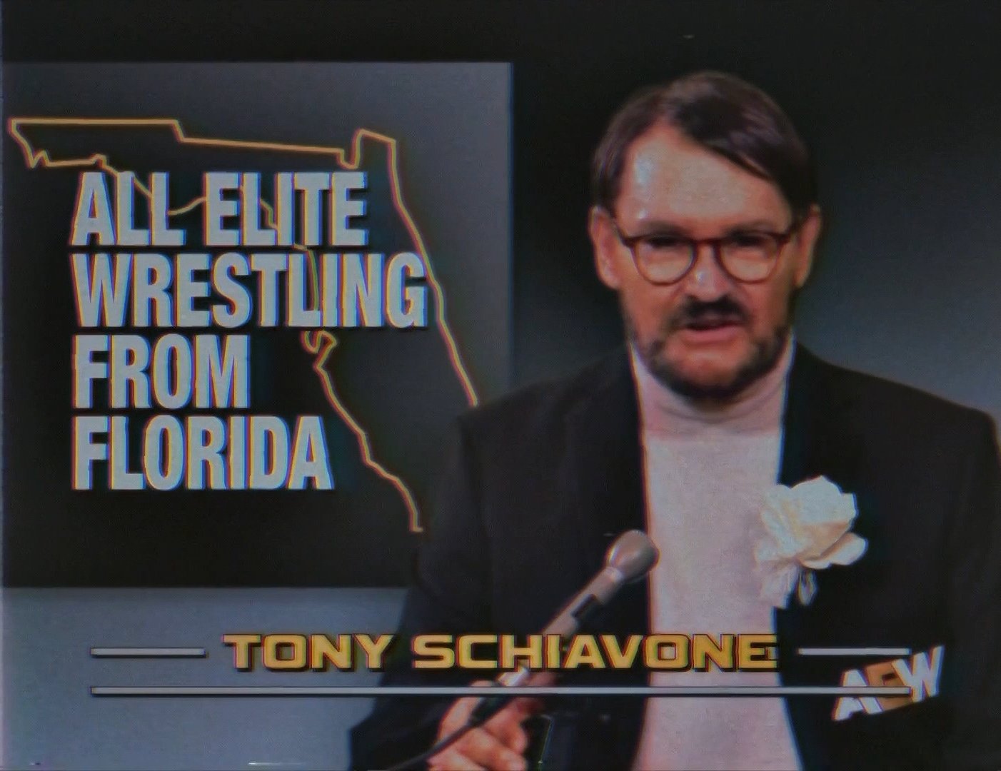 tony Schiavone aew