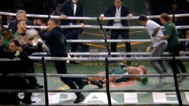 Wanderlei Silva Knocked Out In Post-Fight Brawl