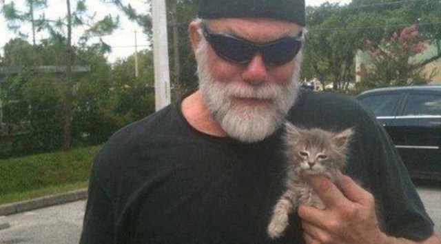 randy savage cat