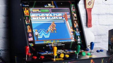Details About Characters & Features In WrestleFest Arcade Cabinet Game
