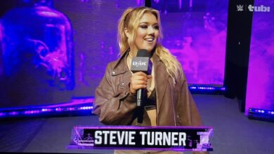 Stevie Turner Issues Statement On WWE Release