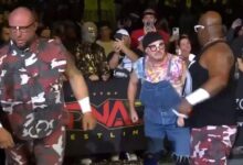 team 3d, bully ray, d-von dudley, spike dudley, brother runt