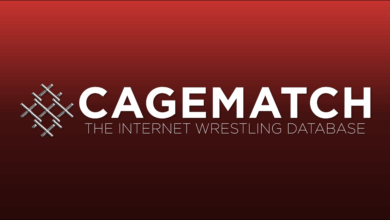 Googling ‘(Wrestler) Cagematch’ Works Again