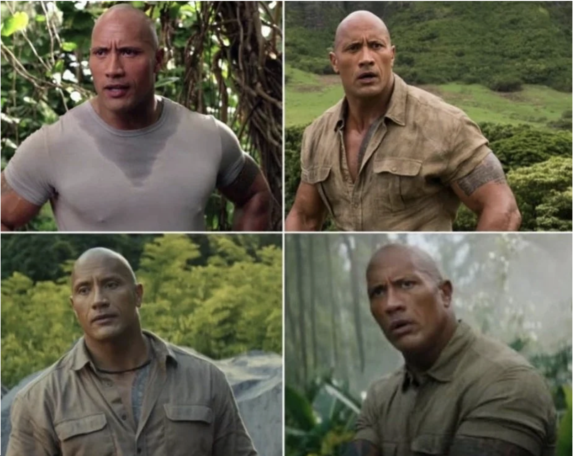 the rock movie meme