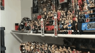 Two People Arrested For Stolen WWE Action Figures