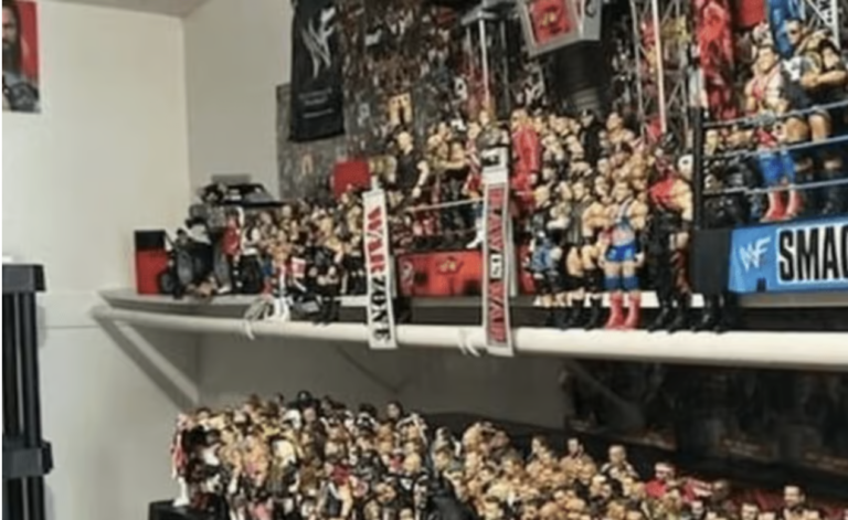 Two People Arrested For Stolen WWE Action Figures