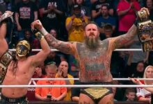 brodido aew wrestledream