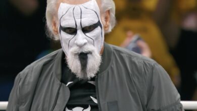 Sting Makes Surprise Appearance At AEW WrestleDream