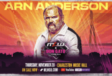 arn anderson mlw
