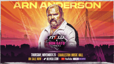 arn anderson mlw