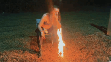 Jazzy Yang’s Labubu Gets Set On Fire
