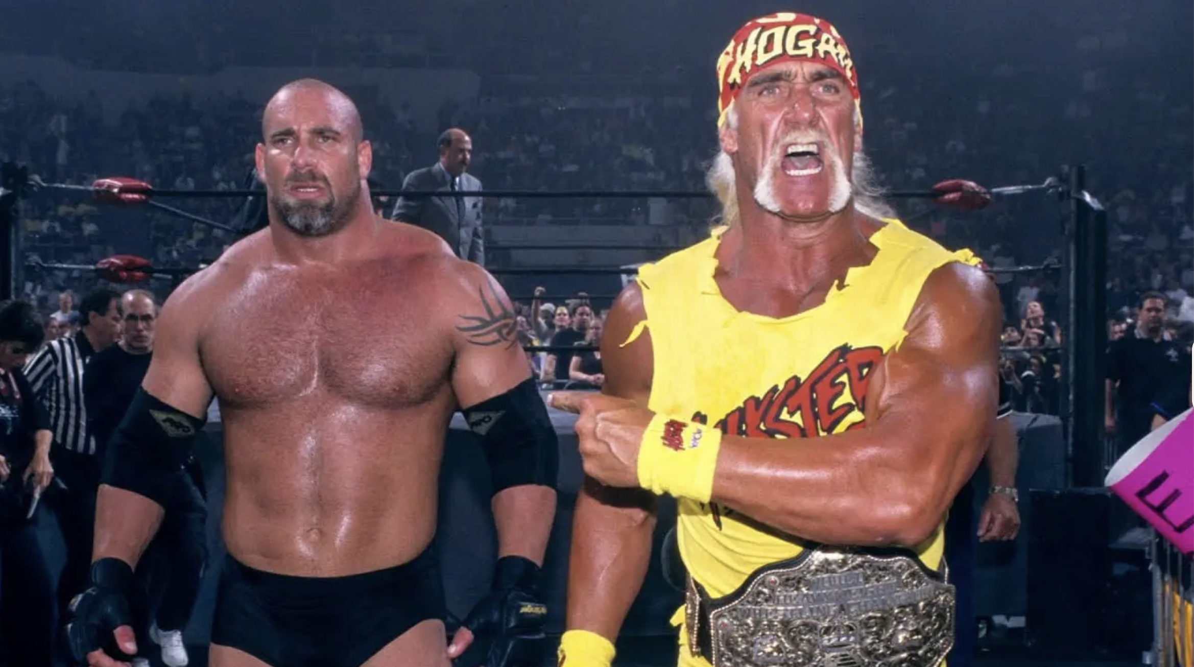 hulk hogan goldberg