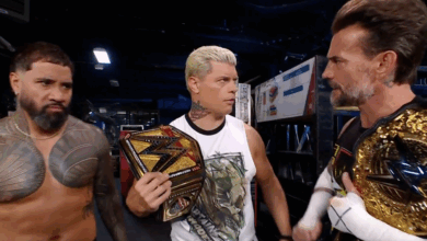 cm punk, cody rhodes, jey uso