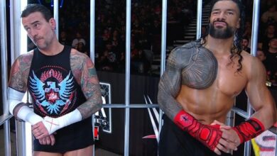 roman reigns cm punk zootopia 2