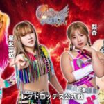 Stardom Goddesses Of Stardom Tag League Night Five Results (11/13)