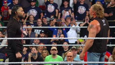 roman reigns brock lesnar