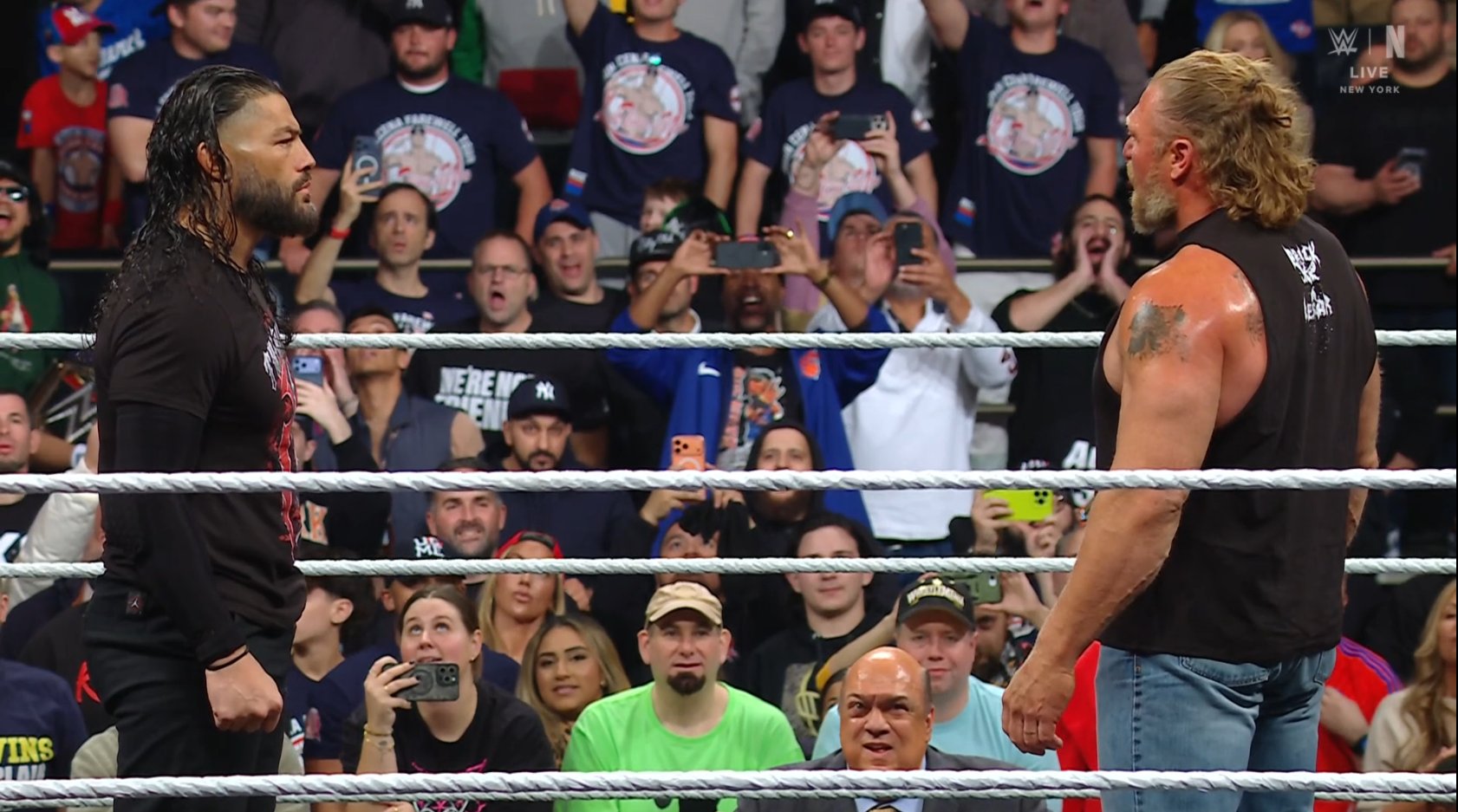 roman reigns brock lesnar