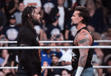 roman reigns cm punk