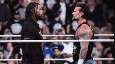 roman reigns cm punk