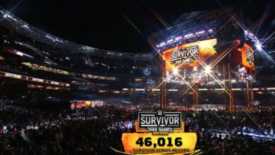wwe survivor series attedance