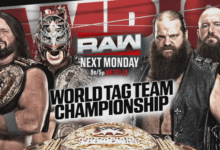 WWE World Tag Team