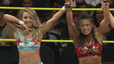 xia brookside, lei ying lee, angel warriors