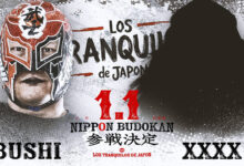 los tranquilos de japon, bushi
