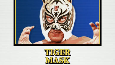 tiger mask