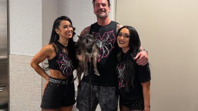 Roxanne Perez, CM Punk, AJ Lee