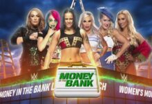 shayna baszler, nia jax, asuka, dana brooke, ash by elegance, lacey evans, carmella, leah van dale