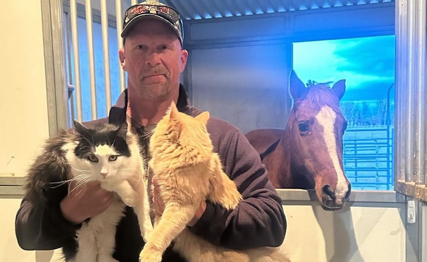 Stone Cold Steve Austin On His Cats Pancho And Macho: People Love To See Those Cats On Instagram, It Turned Into A Thing