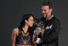 aj lee, cm punk, larry