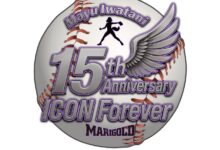 dream star fighting marigold mayu iwatani anniversary